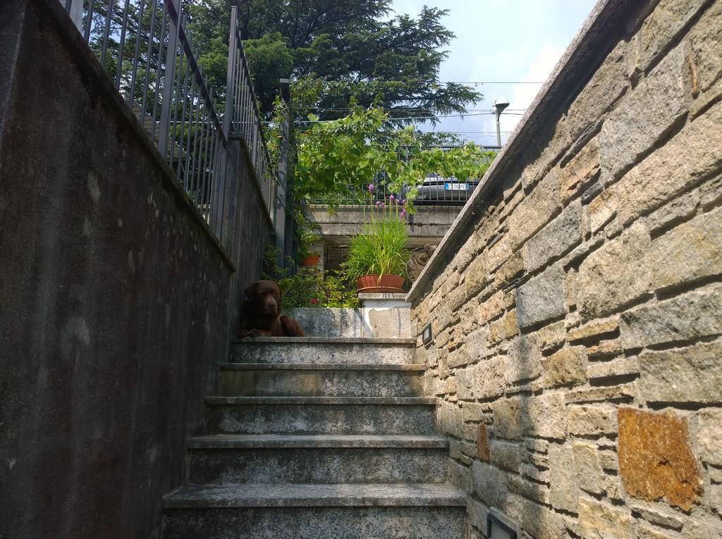 Venanzio! Pianello Del Lario Exterior foto