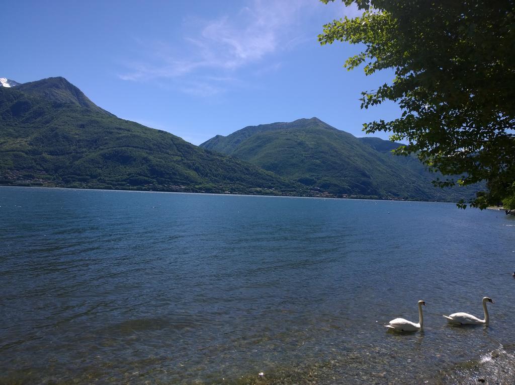 Venanzio! Pianello Del Lario Exterior foto